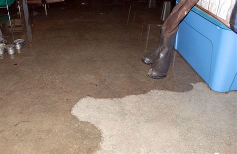 Basement Floor Drain Clogged? Team Balkan Is Your Floor Drain Expert ...