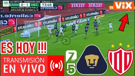 Pumas Vs Necaxa En Vivo Partido Hoy Pumas Vs Necaxa En Vivo Ver