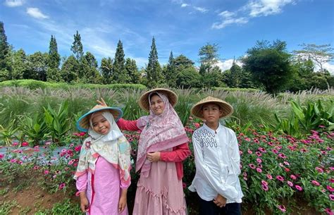 Wisata Kebun Buah Bogor Belajar Tumbuhan Dan Memberi Makan Rusa