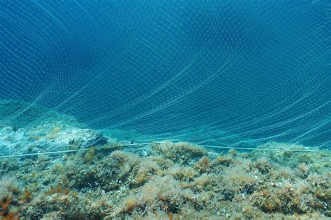 Bottom trawling and the impacts on the ocean | Ocean Tales | One Ocean ...