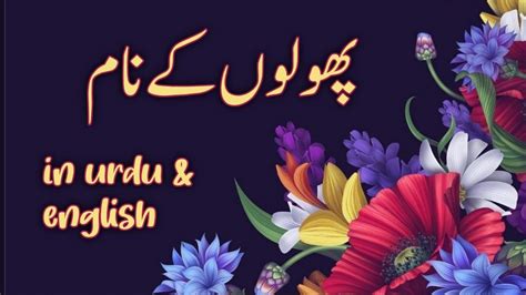 All Flowers Name In English And Urdu Best Flower Site