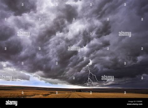 The thundercloud and lightning Stock Photo - Alamy