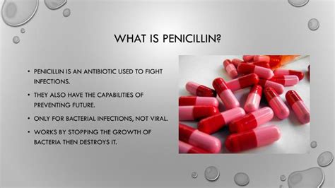 PPT - The Development of Penicillin PowerPoint Presentation - ID:2649658