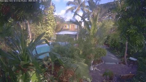 Key West Florida Live Webcam New Mallory Square