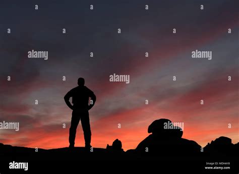 Silueta de un hombre viendo la puesta de sol fotografías e imágenes de