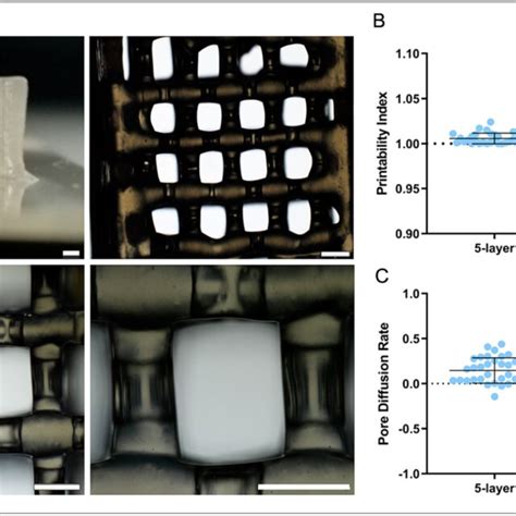 Printability Evaluation Of 5 And 15 Layer Constructs A Pictures Of A