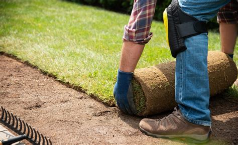 Preparation For Laying Turf | How To Get The Soil Ready