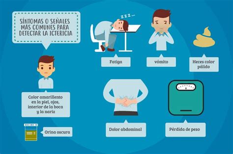 Sintomas De Icterícia Em Rn