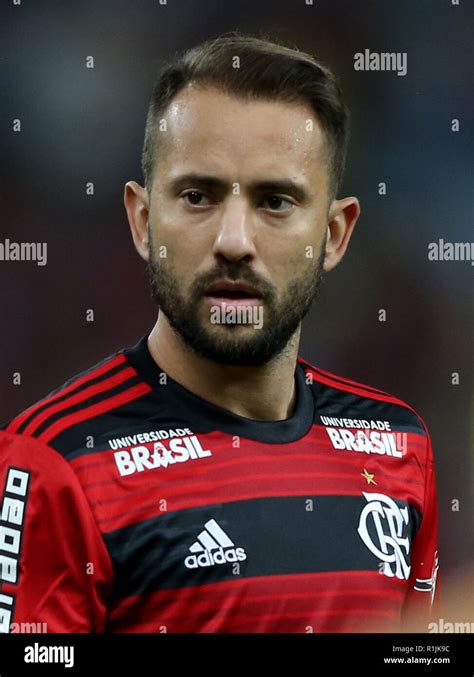 Brazilian Football League Serie A Club De Regatas Do Flamengo