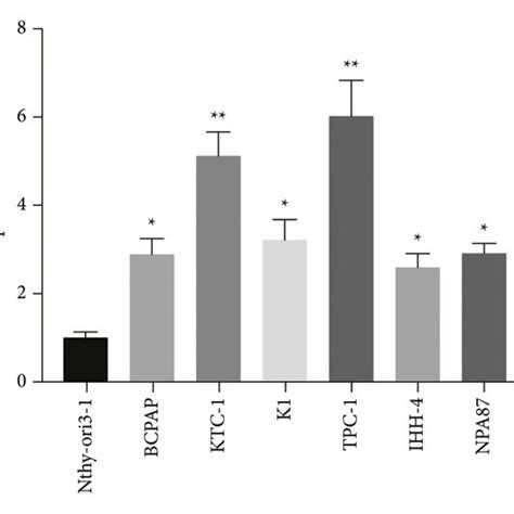 Srpx2 Is Elevated In Ptc A Srpx2 Expression In Ptc Cells B Srpx2 Download Scientific