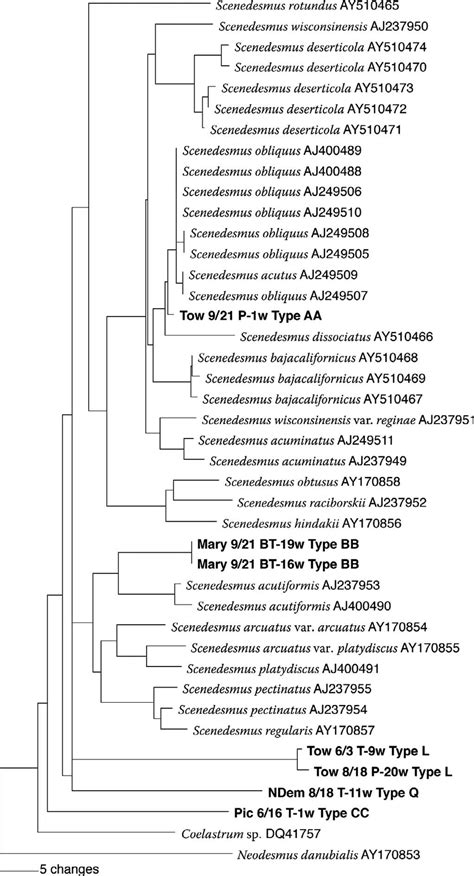 Dendrogram Derived From Neighbor Joining Analysis Of Internal