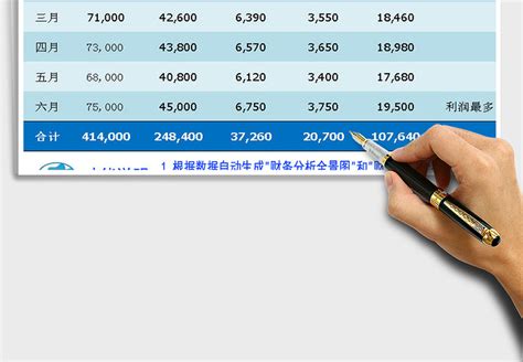 2021年财务分析情况表带全景分析图和明细项目分析图 Excel表格 办图网