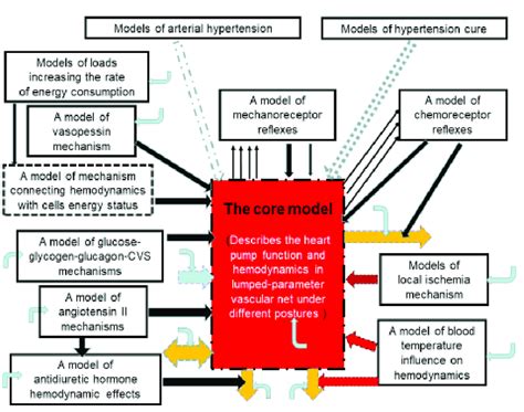 Schematic illustration of the core model (representing hemodynamics in ...