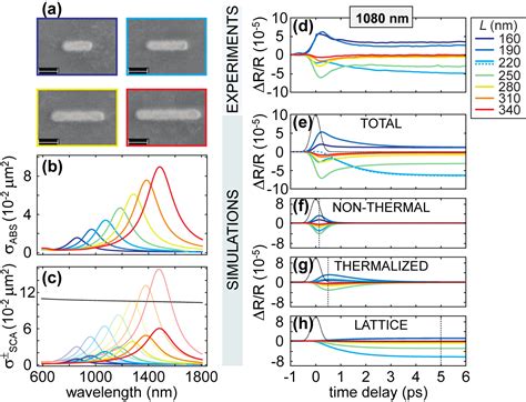 Ultrafast Hot Electron Dynamics In Plasmonic Nanostructures