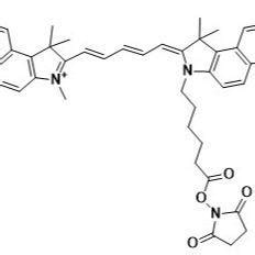 Cy5 5 NHS ester non sulfonated 98 价格 详情介绍 960化工网 960化工网