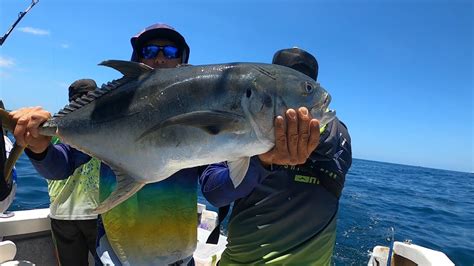 Pesca Con Carnada Viva En Puerto Vallarta Youtube