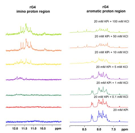 H Nmr Spectra Of The Imino And Aromatic Proton Region Of The Putative