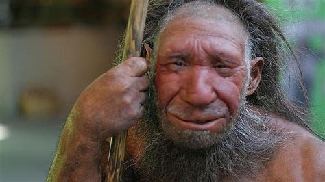 Los Neandertales Enterraban A Sus Muertos