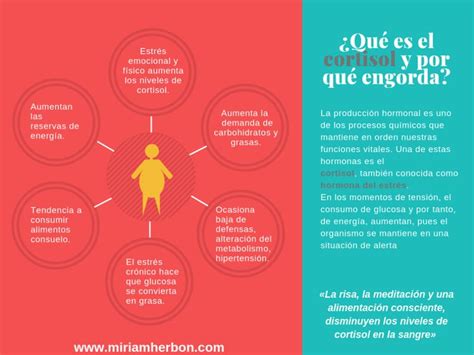 Qué Es El Cortisol Y Por Qué Engorda Cortisol Estres Hormonas