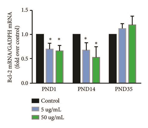 Real Time Pcr Was Conducted On The Mrna Levels Of Bcl 2 A And Bax