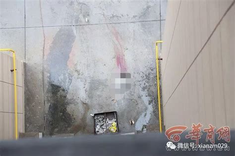 西安曲江中海凯旋门一女子跳楼身亡 具体原因警方正在调查 凤凰网