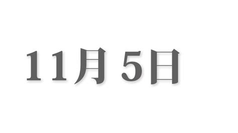 11月25日と言えば？ 行事・出来事・記念日・伝統｜今日の言葉・誕生花・石・星｜総まとめ 今日は何の日