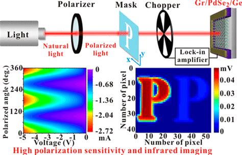 Highly Polarization Sensitive Broadband Self Powered Photodetector Based On Graphenepdse2