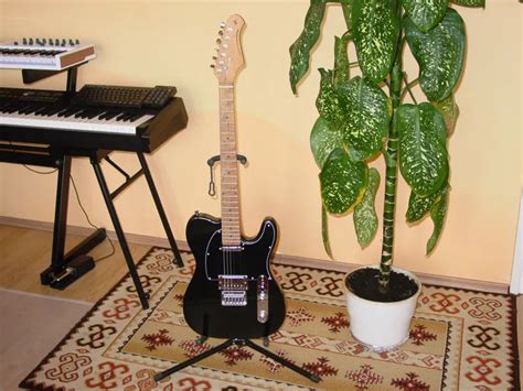 Stagg SET-PLUS BK Elektromos gitár eladó | GS Fanatic