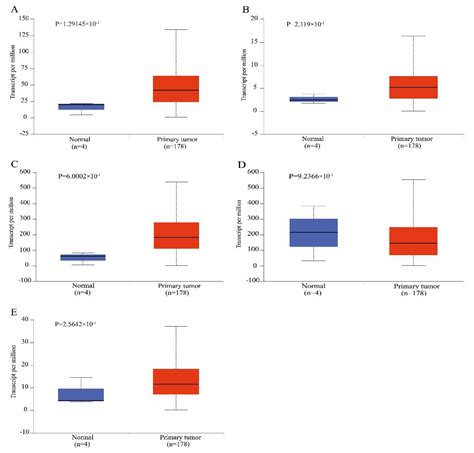 Genes Free Full Text Identification Of Key Genes And Pathways In Pancreatic Cancer Gene