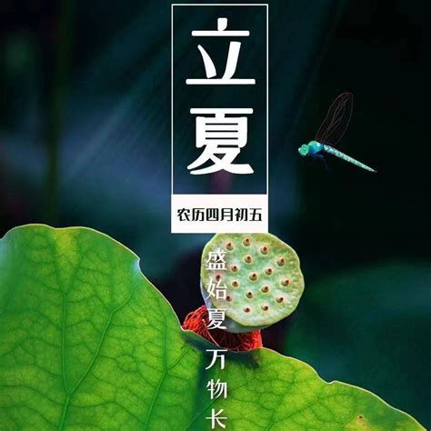 节气 立夏：万物始茂 迎夏而立蚯蚓版权夏天