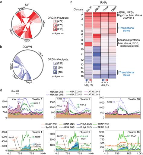 Multi Scale Analysis Of Hypoxia Regulated Genes Reveals Concordant And