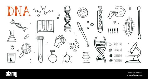 Genetic Engineering And Medical Research Vector Background Dna Helix