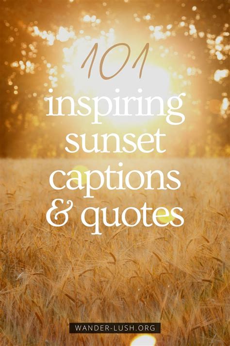 Inspiring Meaningful Sunset Captions Quotes Sunset Captions