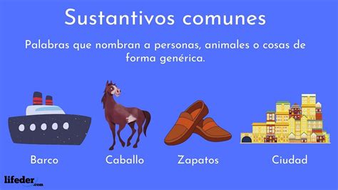 Sustantivos Comunes Definici N Tipos Y Ejemplos