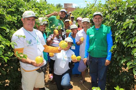 Blog Bjrn Encerramento Do Curso De Fruticultura Do Senar