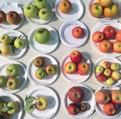 report    national heirloom expo root simple