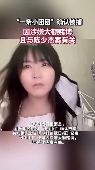 “一条小团团”确认被捕，因涉嫌大额赌博，且与陈少杰案有关。 Youtube