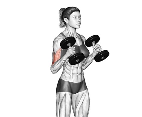 14 Effective Forearm Exercises for Muscle Growth, Strength, and Grip E ...