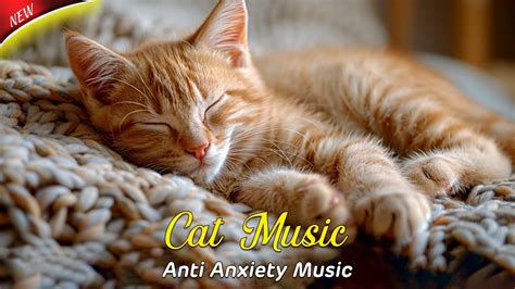 Hours Cat Lullabies Cat Lullabies For Nervous Kittens Listen