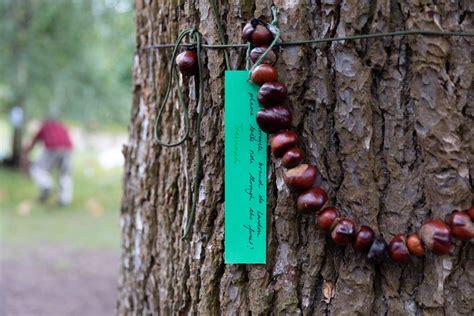 Celebrations 2020 Forest School Day