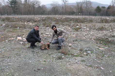 Baromuzdan Tokat Belediyesi Hayvan Bar Na Na Ziyaret Tokat Baro