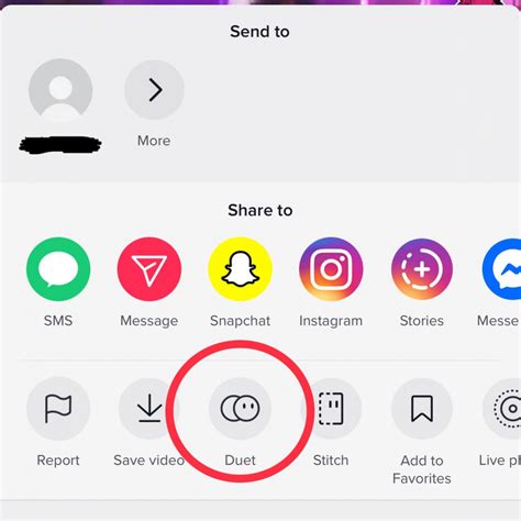 How To Duet On TikTok Mashable