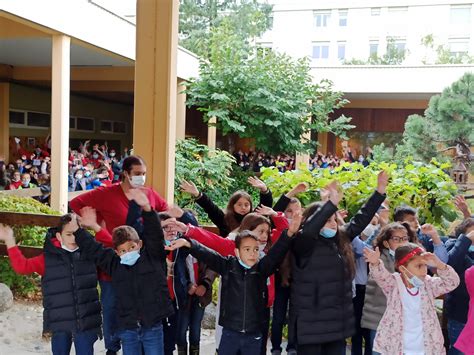 Organisation de la direction des services départementaux de l'éducation