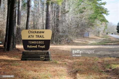 26 Tombigbee National Forest Stock Photos, High-Res Pictures, and ...