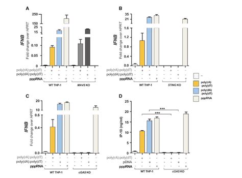 Thp 1 Knockout Cell Lines Immunity And Inflammation Study Ubigene