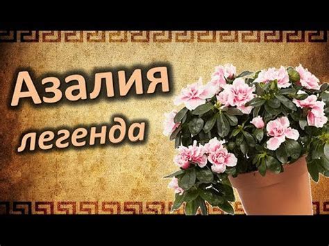 Магия Азалии! Мифы и легенды об Азалии! - YouTube