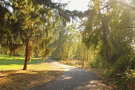 Portland's Best Kept Secret: Kelley Point Park's Hidden Trails & Wonders!