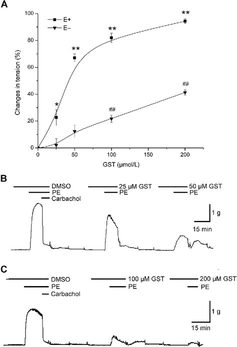 Figure 1 From A Combination Of Genistein And Magnesium Enhances The