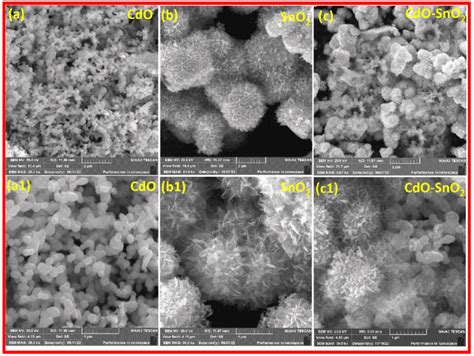 Low And High Magnified Fesem Images Of Cdo A A Sno B B And