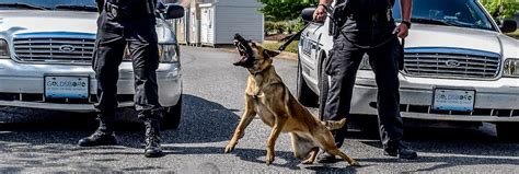 Police K9 Dog Handler Courses K9 Handler School Training